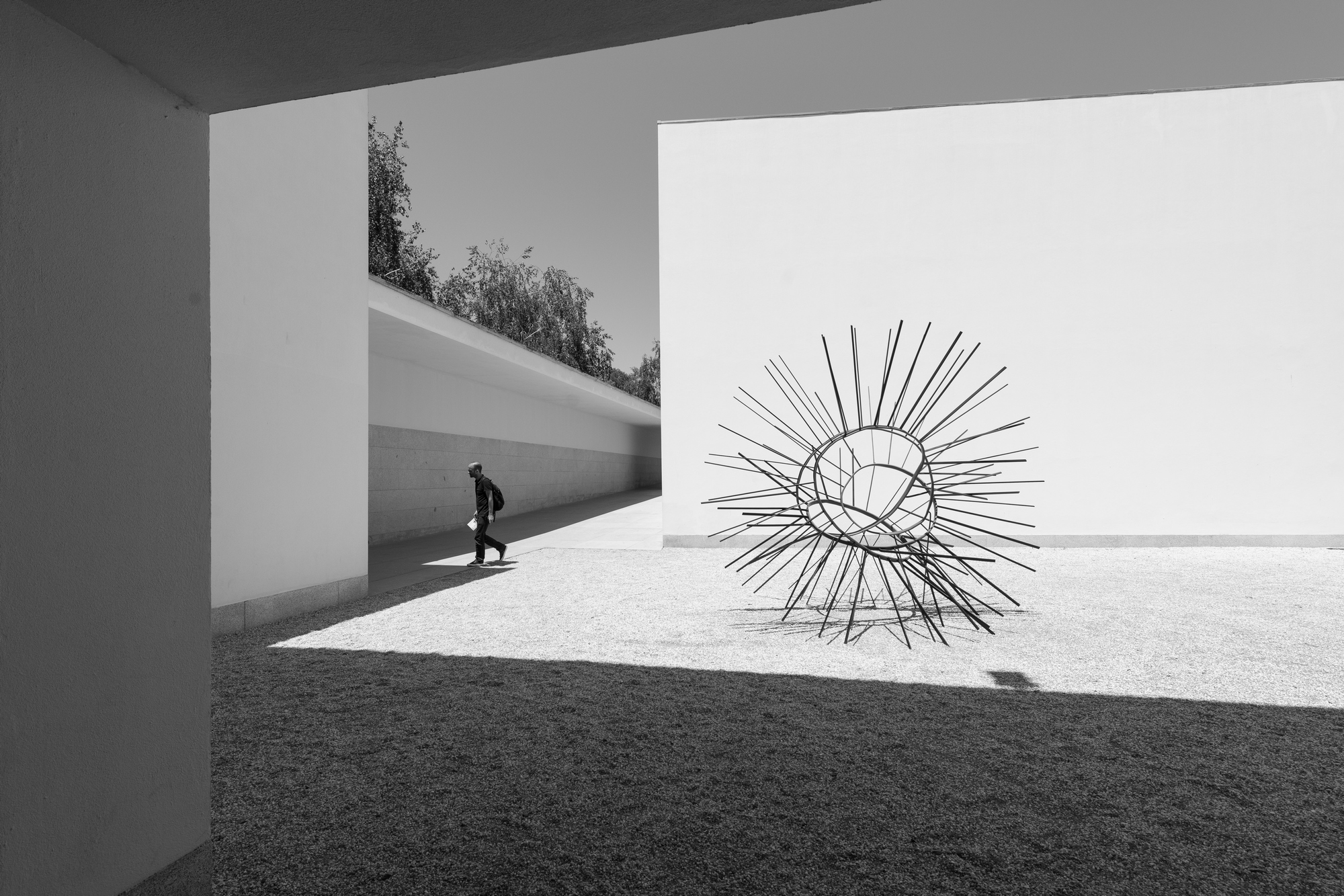 Serralves Museum Entrances